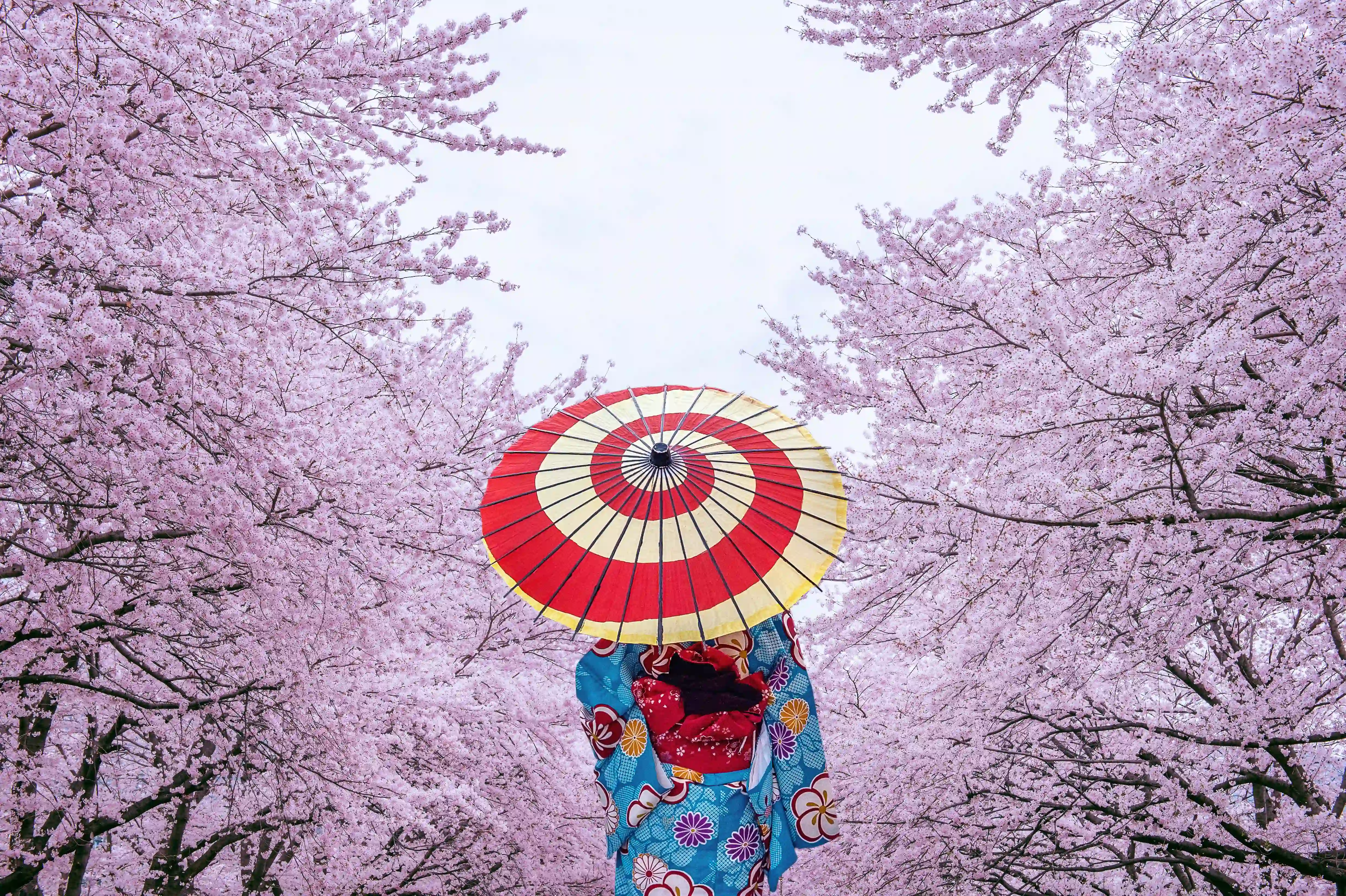Japan