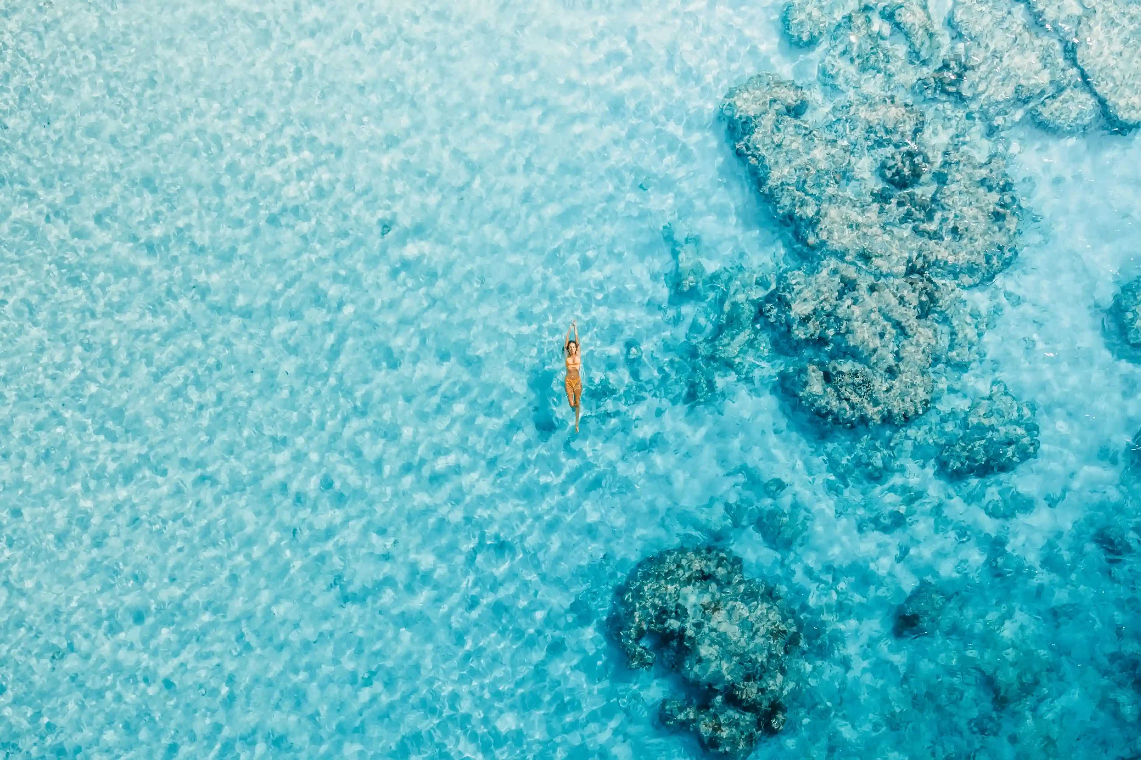 Tahiti & Caribbean