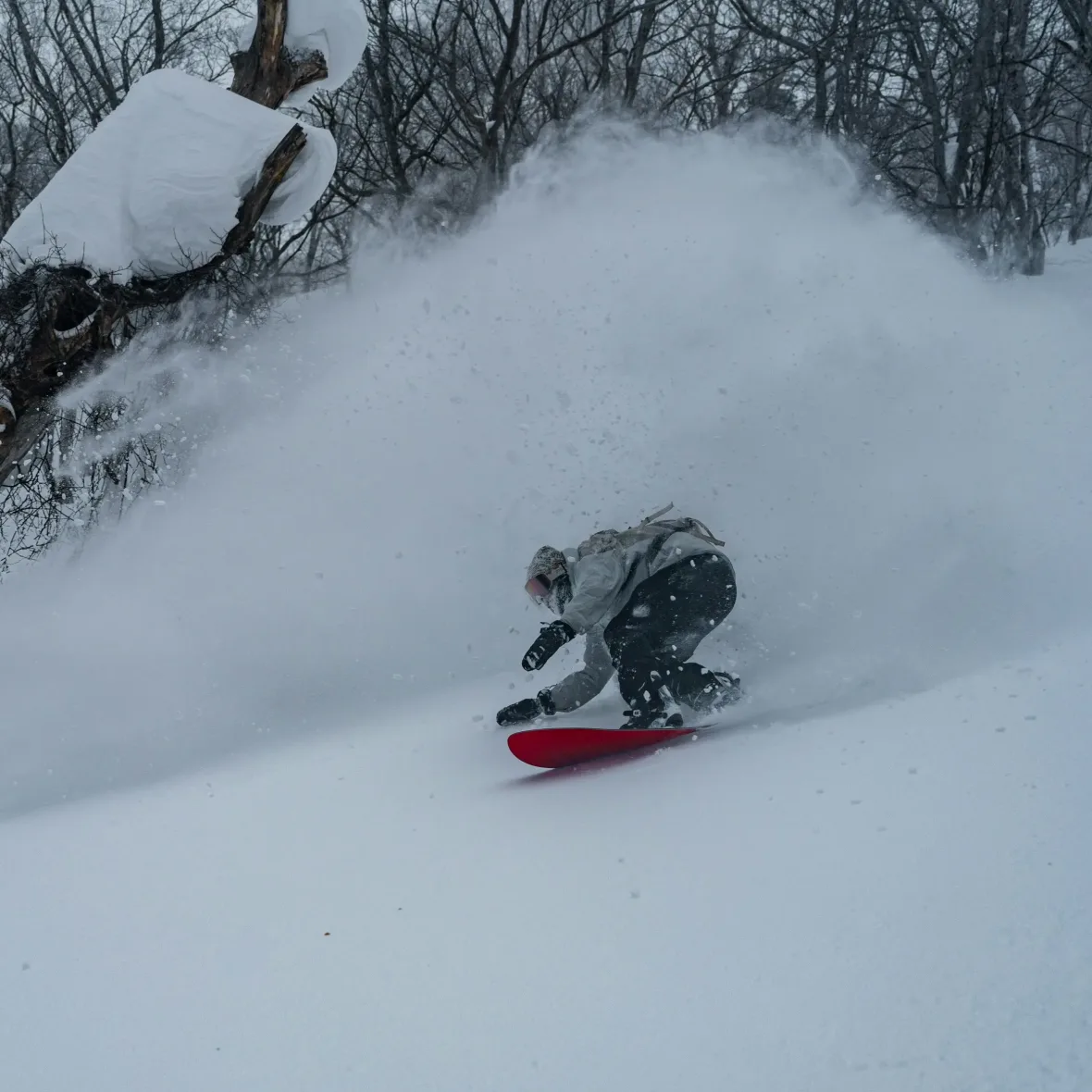 Private ski Niseko