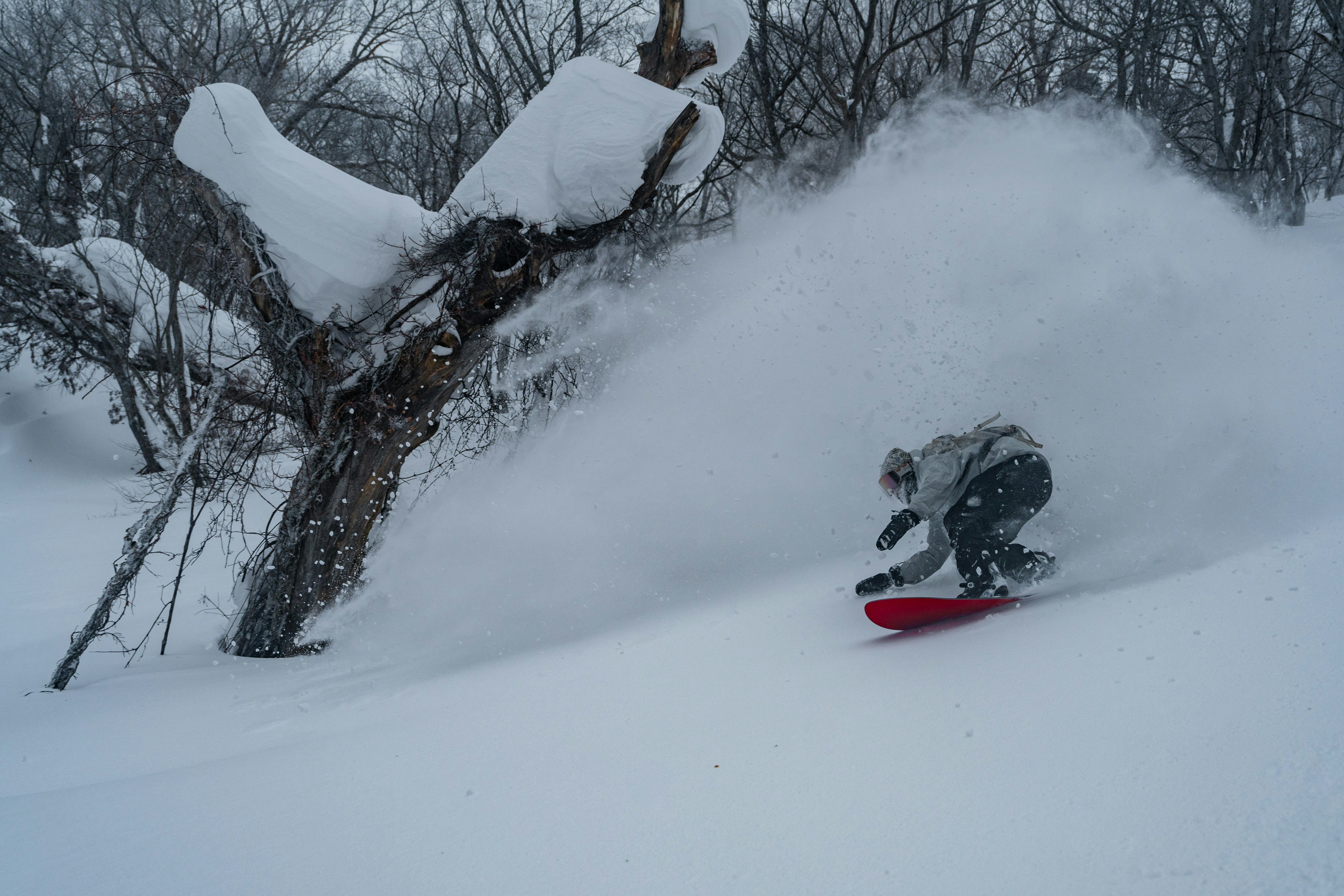 Powder skiing, Niseko Hokkaido