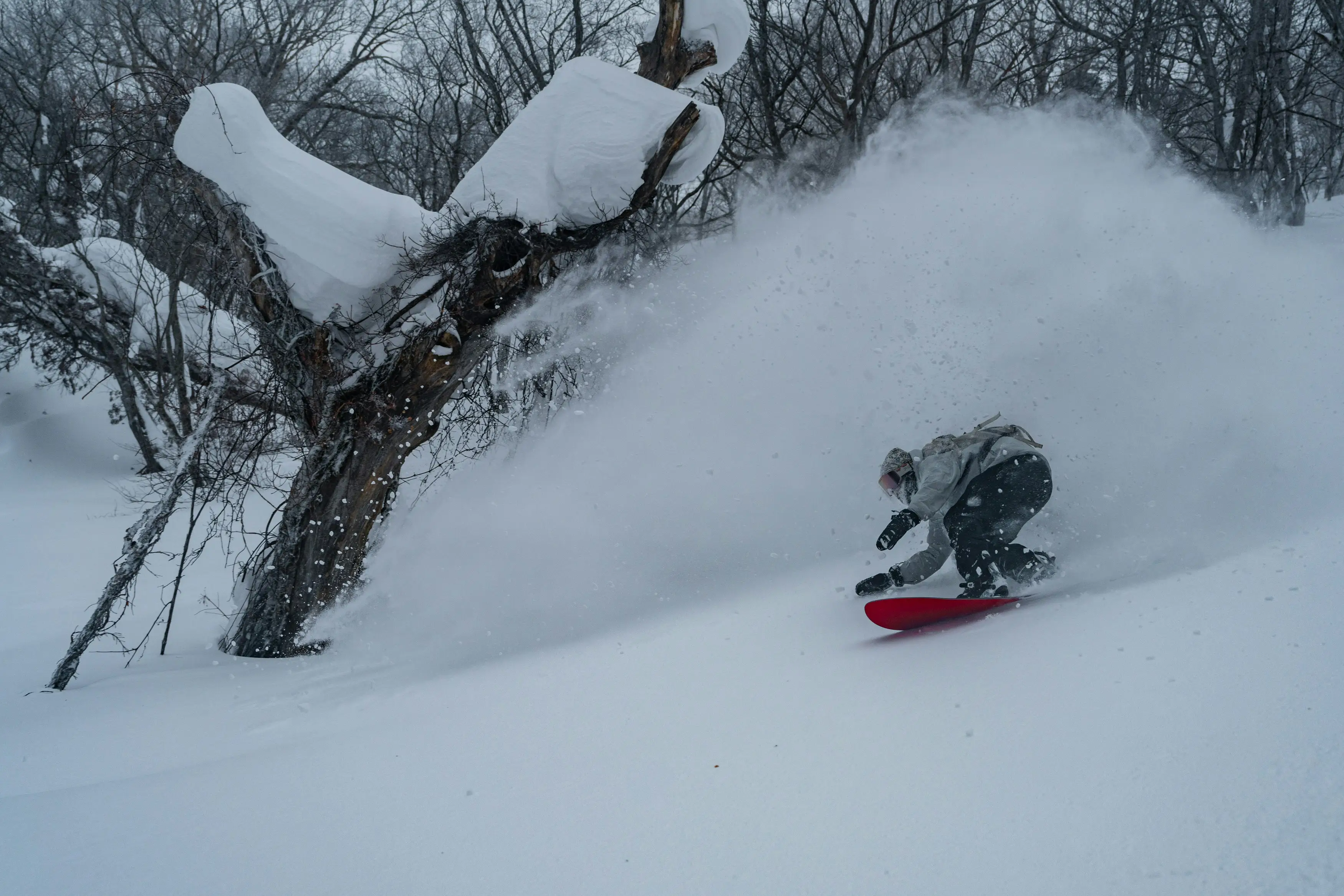 Powder skiing, Niseko Hokkaido