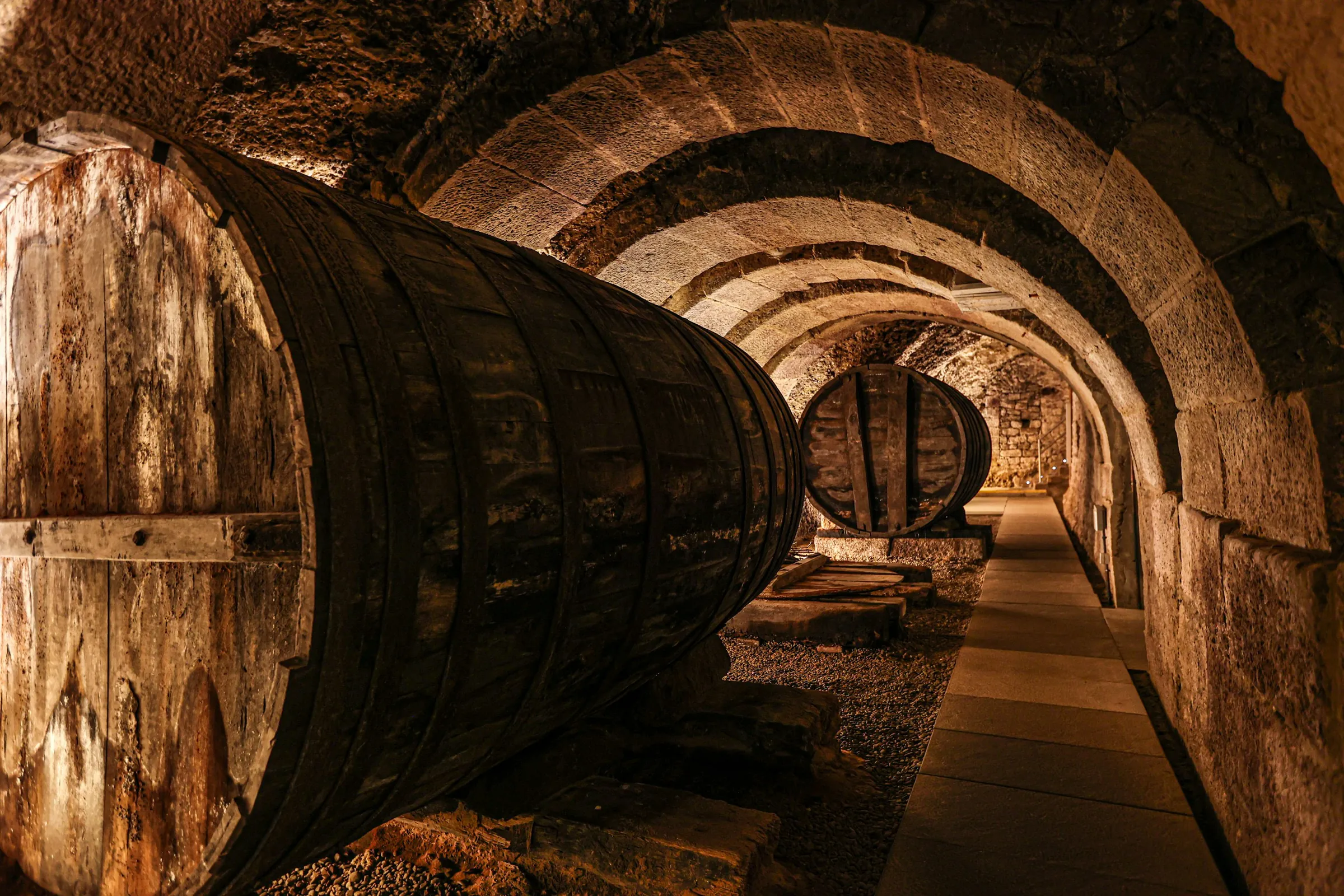 Barrel cellar of a Bordeaux château