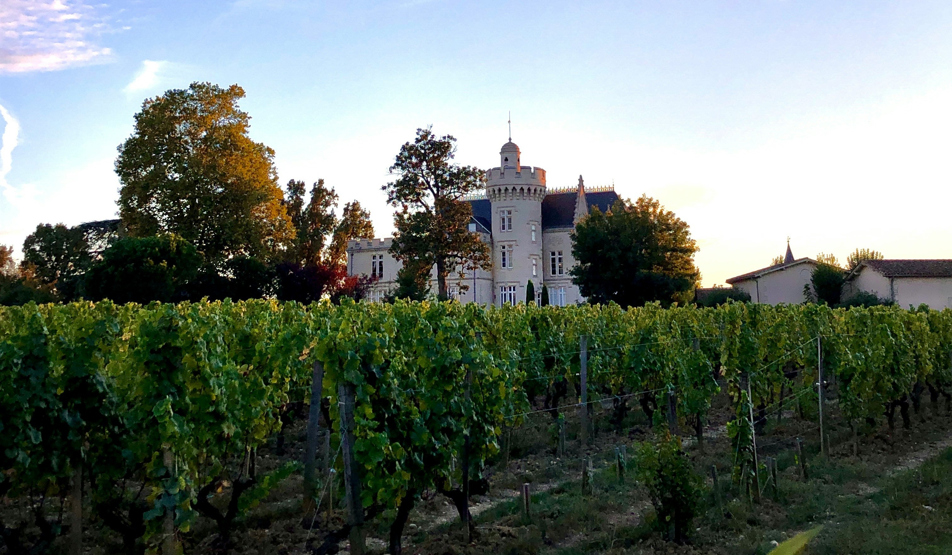 A first-growth château and its vineyards at last light, Bordeaux
