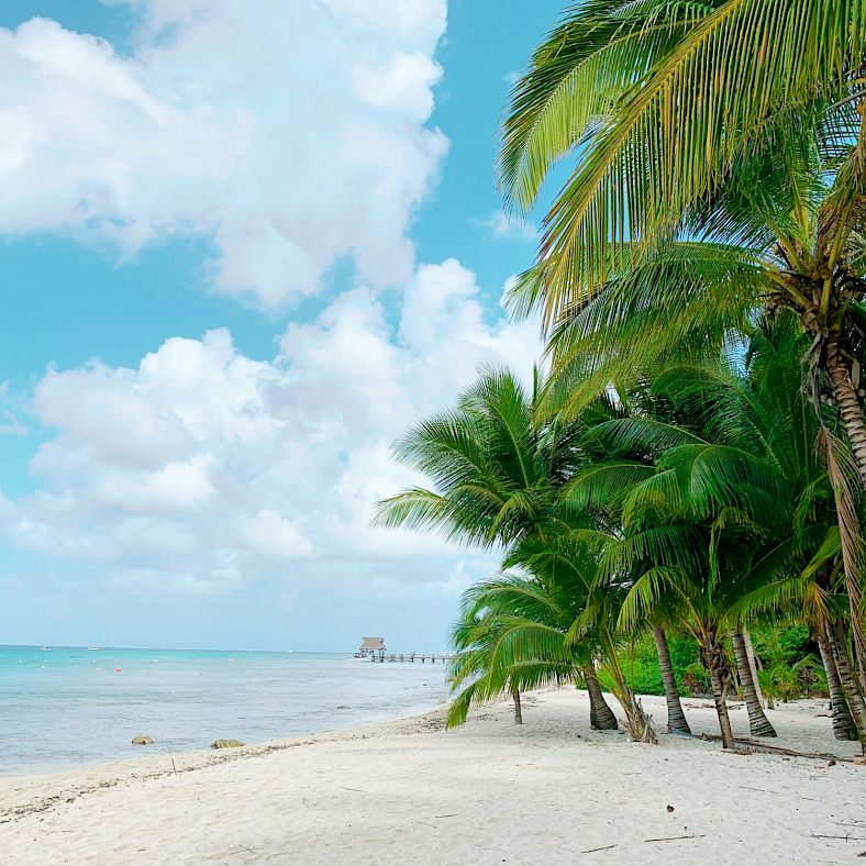 A Journey to the Caribbean: Paradise Found